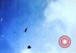 Image of Japanese Kamikaze aircraft Pacific Ocean, 1945, second 7 stock footage video 65675050814