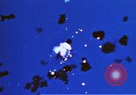 Image of Japanese Kamikaze aircraft Pacific Ocean, 1945, second 26 stock footage video 65675050814