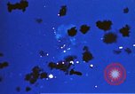Image of Japanese Kamikaze aircraft Pacific Ocean, 1945, second 28 stock footage video 65675050814