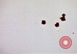 Image of Japanese Kamikaze aircraft Pacific Ocean, 1945, second 10 stock footage video 65675050820