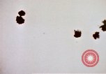 Image of Japanese Kamikaze aircraft Pacific Ocean, 1945, second 12 stock footage video 65675050820