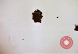 Image of Japanese Kamikaze aircraft Pacific Ocean, 1945, second 14 stock footage video 65675050820