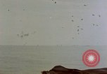 Image séquelles de kamikaze attaque sur USS Enterprise Océan Pacifique, 1945, de la seconde 32 séquences d'archives historiques vidéo 65675050831