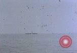 Image of CV-6 USS Enterprise aftermath of kamikaze attack Pacific Ocean, 1945, second 56 stock footage video 65675050833