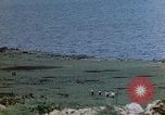 Image of 4th Marine Division Tinian Island Mariana Islands, 1944, second 6 stock footage video 65675050843