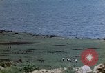 Image of 4th Marine Division Tinian Island Mariana Islands, 1944, second 9 stock footage video 65675050843