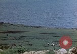 Image of 4th Marine Division Tinian Island Mariana Islands, 1944, second 12 stock footage video 65675050843