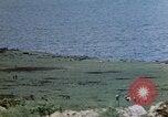 Image of 4th Marine Division Tinian Island Mariana Islands, 1944, second 18 stock footage video 65675050843