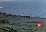 Image of 4th Marine Division Tinian Island Mariana Islands, 1944, second 21 stock footage video 65675050843