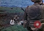 Image of 4th Marine Division Tinian Island Mariana Islands, 1944, second 39 stock footage video 65675050843