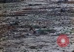 Image of 4th Marine Division Tinian Island Mariana Islands, 1944, second 57 stock footage video 65675050843