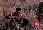 Image of 4th Marine Division Tinian Island Mariana Islands, 1944, second 36 stock footage video 65675050844