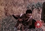 Image of 4th Marine Division Tinian Island Mariana Islands, 1944, second 37 stock footage video 65675050844