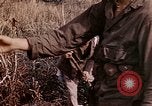 Image of 4th Marine Division Tinian Island Mariana Islands, 1944, second 43 stock footage video 65675050844