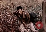 Image of 4th Marine Division Tinian Island Mariana Islands, 1944, second 44 stock footage video 65675050844