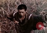 Image of 4th Marine Division Tinian Island Mariana Islands, 1944, second 48 stock footage video 65675050844