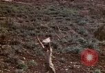 Image of 4th Marine Division Tinian Island Mariana Islands, 1944, second 10 stock footage video 65675050845