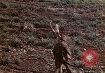 Image of 4th Marine Division Tinian Island Mariana Islands, 1944, second 13 stock footage video 65675050845