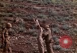 Image of 4th Marine Division Tinian Island Mariana Islands, 1944, second 16 stock footage video 65675050845