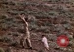 Image of 4th Marine Division Tinian Island Mariana Islands, 1944, second 18 stock footage video 65675050845