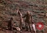 Image of 4th Marine Division Tinian Island Mariana Islands, 1944, second 22 stock footage video 65675050845