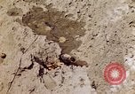 Image of dead bodies Tinian Island Mariana Islands, 1944, second 5 stock footage video 65675050848