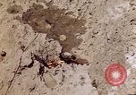 Image of dead bodies Tinian Island Mariana Islands, 1944, second 6 stock footage video 65675050848