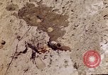 Image of dead bodies Tinian Island Mariana Islands, 1944, second 8 stock footage video 65675050848