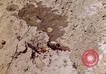Image of dead bodies Tinian Island Mariana Islands, 1944, second 9 stock footage video 65675050848