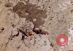 Image of dead bodies Tinian Island Mariana Islands, 1944, second 11 stock footage video 65675050848