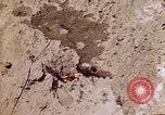 Image of dead bodies Tinian Island Mariana Islands, 1944, second 14 stock footage video 65675050848