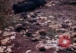 Image of dead bodies Tinian Island Mariana Islands, 1944, second 25 stock footage video 65675050848