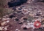 Image of dead bodies Tinian Island Mariana Islands, 1944, second 27 stock footage video 65675050848