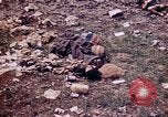 Image of dead bodies Tinian Island Mariana Islands, 1944, second 28 stock footage video 65675050848