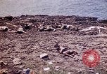 Image of dead bodies Tinian Island Mariana Islands, 1944, second 31 stock footage video 65675050848