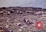 Image of dead bodies Tinian Island Mariana Islands, 1944, second 32 stock footage video 65675050848