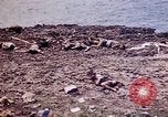 Image of dead bodies Tinian Island Mariana Islands, 1944, second 34 stock footage video 65675050848