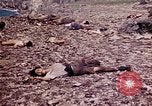 Image of dead bodies Tinian Island Mariana Islands, 1944, second 36 stock footage video 65675050848