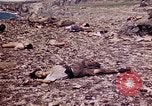 Image of dead bodies Tinian Island Mariana Islands, 1944, second 37 stock footage video 65675050848