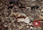 Image of dead bodies Tinian Island Mariana Islands, 1944, second 46 stock footage video 65675050848