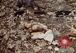 Image of dead bodies Tinian Island Mariana Islands, 1944, second 48 stock footage video 65675050848