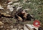 Image of dead bodies Tinian Island Mariana Islands, 1944, second 51 stock footage video 65675050848