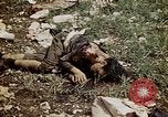 Image of dead bodies Tinian Island Mariana Islands, 1944, second 52 stock footage video 65675050848