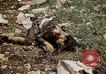 Image of dead bodies Tinian Island Mariana Islands, 1944, second 53 stock footage video 65675050848