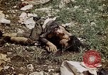 Image of dead bodies Tinian Island Mariana Islands, 1944, second 54 stock footage video 65675050848