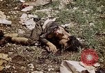 Image of dead bodies Tinian Island Mariana Islands, 1944, second 55 stock footage video 65675050848
