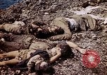 Image of dead bodies Tinian Island Mariana Islands, 1944, second 56 stock footage video 65675050848