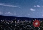 Image of American Marines Saipan Northern Mariana Islands, 1944, second 40 stock footage video 65675050851
