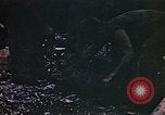 Image of American Marines Saipan Northern Mariana Islands, 1944, second 46 stock footage video 65675050853