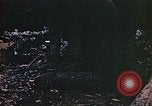 Image of American Marines Saipan Northern Mariana Islands, 1944, second 49 stock footage video 65675050853